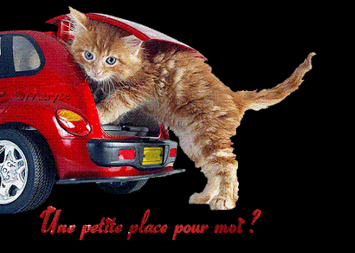   LE CHAT..