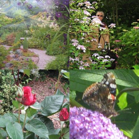  A  TOUTES  LES  MAMIES..