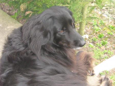 bon je vous l'avez dit, on s'en va, les sacs sont pr�ts.