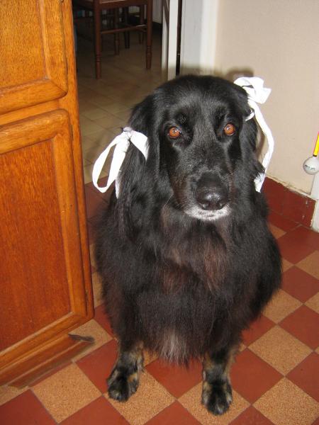 A TOUS DE JOYEUSES PAQUES...