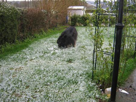 OH! OH! DE LA NEIGE!!!  YOUPPI!!!!