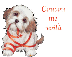 merci Gina, il me fait rire ce petit chien