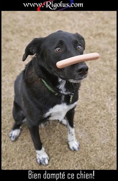 je pourais en faire autant, pufff!! m�me que!( j'aime pas ces trucs l�)