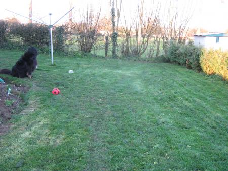 hum! hum!!! huuuuummm!!! les pattes.