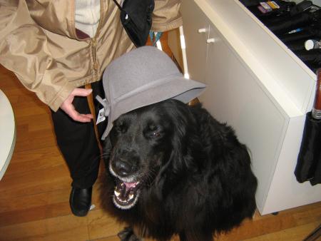 je cherche un chapeau pour mon mariage avec Baldwiin mon amoureux