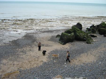 j'avais trouv� un copain, mais je suis tellement dominante, qu'il a eu peur de moi....  sans commentaires...
