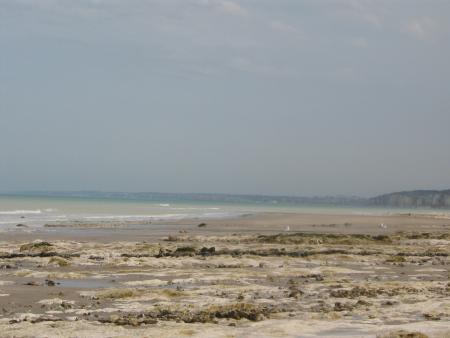 oui! oui le ciel est bleu....enfin presque