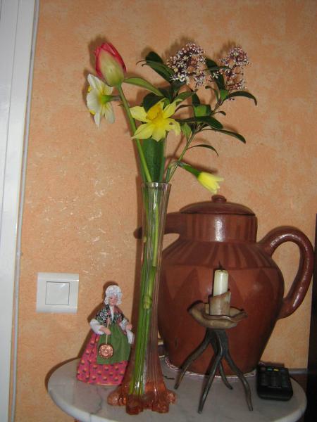 bonne fin de journ�e � tous, les premi�res fleurs du jardin. elle se sont ouvertes sous la neige..... l�chettes � tous.