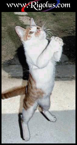 PRIERE  DU  BLOGUEUR   SYMPA...