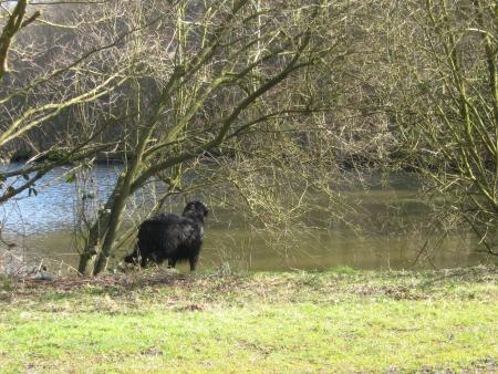 je suis intrigu�e, mais qu'est ce qu'il y a l�-bas..... Ugane c'est un rocher t'es miro....