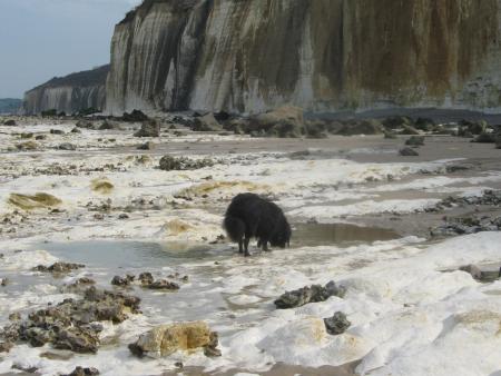 la temp�te a laiss� des traces sur nos falaises.