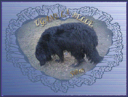 merci SAM.. JE ME TROUVE BELLE?  YES!!!