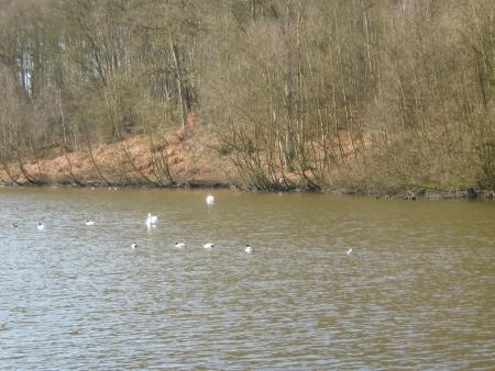 attention, J'ARRIVEEEEE.