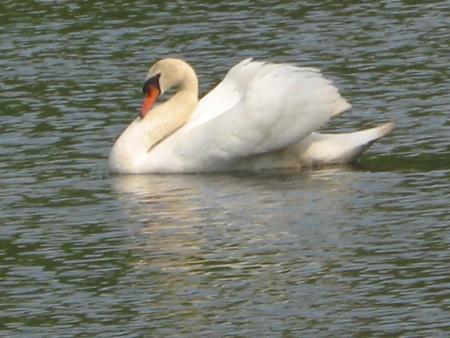 il surveille toujours!...