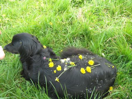 nostalgie des ann�es 70.......