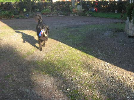 je n'ai plus que mes jouets pour me distraire!....