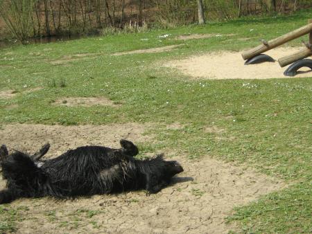 que c'est bon le soleil!
