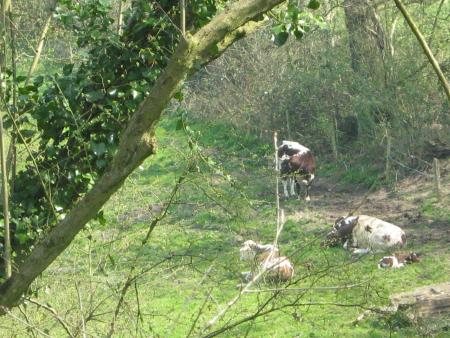 sur la route du lac !