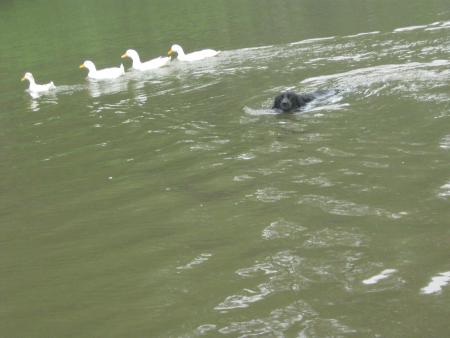 je les ai encore loup�...