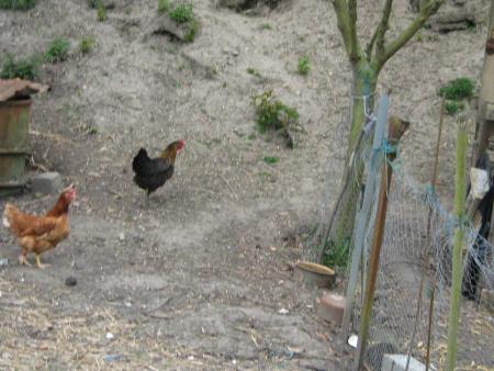 ma copine est revenue!...