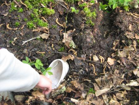 quelle aventure!....