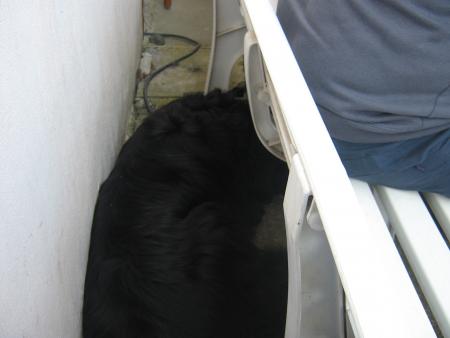 vous me voyez l�...