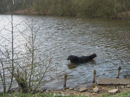  ah! enfin il fait froid mais au moins un peu de soleil...