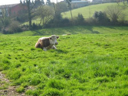 bonjour, vous...ah!  vous aussi vous r�clamez le soleil, vous d�tes qu'il est trop p�le!!!!