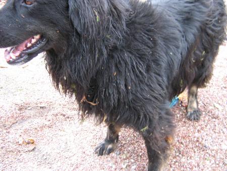 vous avez compris pourquoi nous ne venons qu'� cette heure l�.