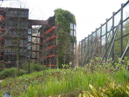 voil� un cot� du mus�e des arts premiers, on aime ou on aime pas..