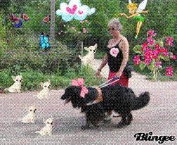 mon nouveau logo. vue par Gigi et Choupette.