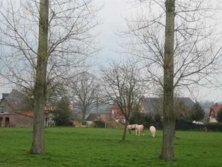 ah! ah!!! que je suis contente, vous voyez ce que je vois... ils ont remis d'autres