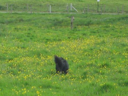 vive la libert�!...