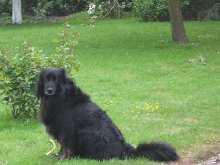 oui c'est moi!!!!....