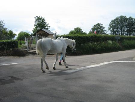 au d�tour de la route..