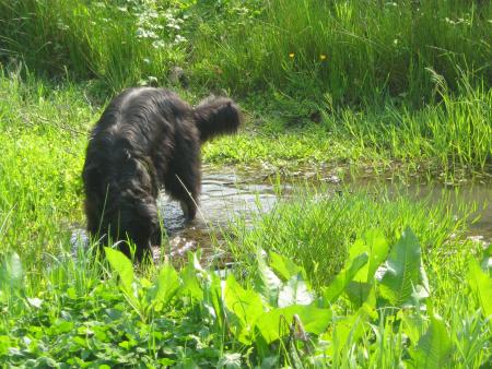 hum!.. humm... c'est bon.