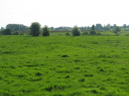 il n'a pas plu depuis 1 mois1/2.....