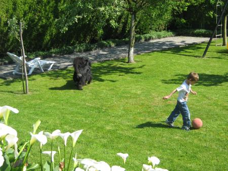 attends!... je vais aller dans les buts!...