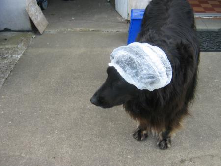 coucou, nous revoil� pour une semaine....