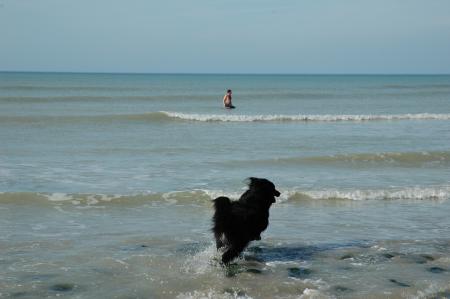 allez!  je cours pour me reposer, la journ�e a �t� dure, nous passerons vous faire un tout petit coucou demain.