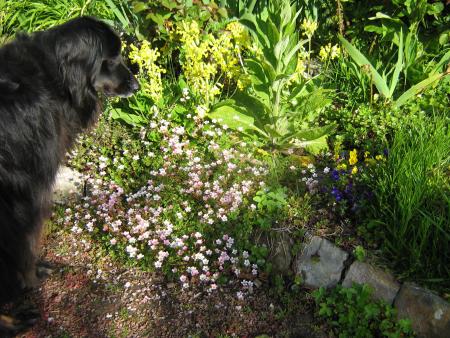 un petit coucou, nous reviendrons un peu ce soir et demain soir on repart...