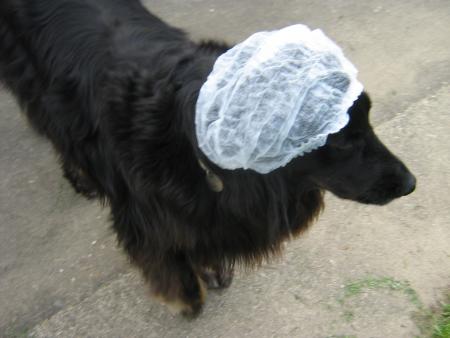 m�me qu'ils n'ont pas voulu que je sois avec Mamiemyope pour l'op�ration alors que j'avais mis ma charlotte pas gentils quand m�me