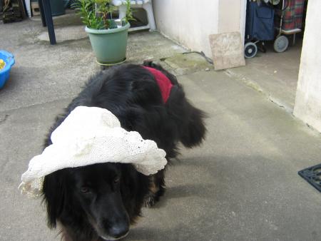 pendant que Mamiemyope passait sur vos blog, voil� je me suis pr�par�e pour les vacances. hi! hi! surprise chapeau et maillot. hum! hum!