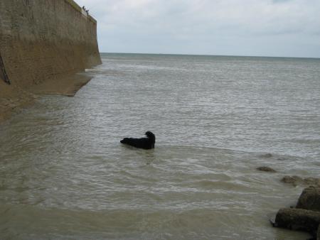 a mon tour de faire ce que j'ai envie....