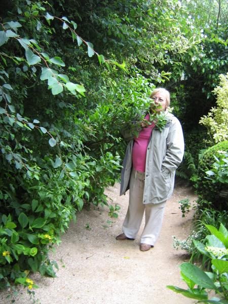 coucou je me cache...