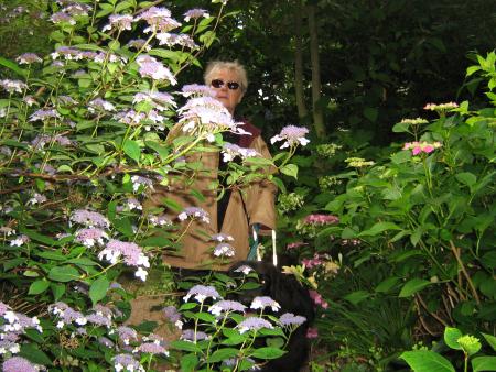 deux fleurs parmis les fleurs...