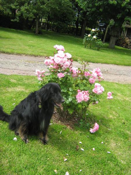 UGANE  est tr�s occup�e il y a du soleil, qui la rend un peu neuneu...