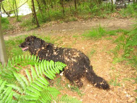 plus je suis crade, plus je suis contente, apr�s un petit coup dans l'eau et on recommence