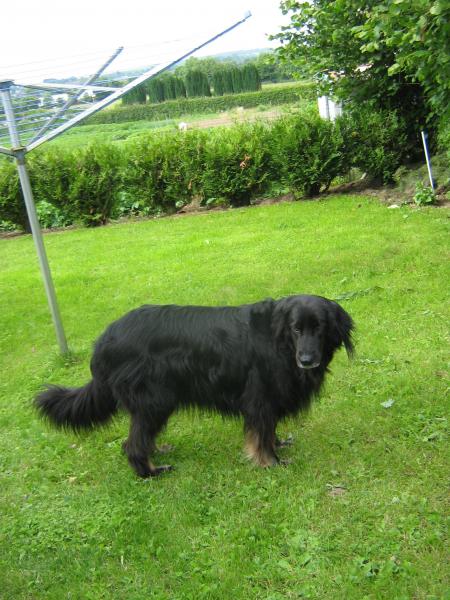 COUCOU NOUS REVOILA? TOUTES LES DEUX..