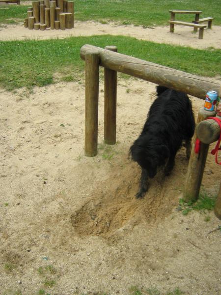 je creuse, pour aller en suisse voir mon ch�ri 